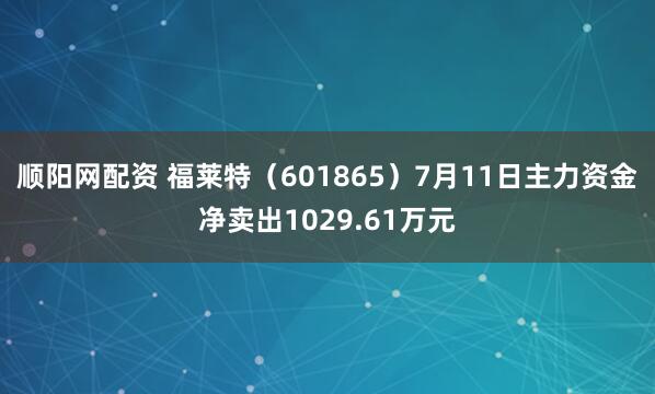 顺阳网配资 福莱特（601865）7月11日主力资金净卖出1029.61万元