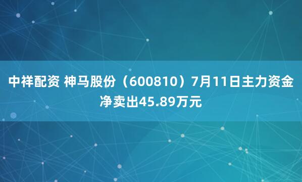 中祥配资 神马股份（600810）7月11日主力资金净卖出45.89万元