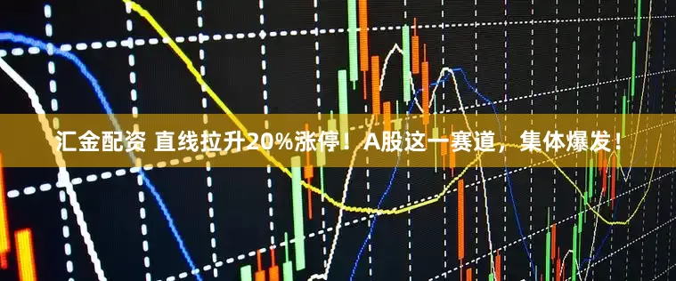 汇金配资 直线拉升20%涨停！A股这一赛道，集体爆发！