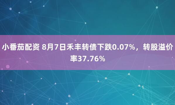 小番茄配资 8月7日禾丰转债下跌0.07%，转股溢价率37.76%
