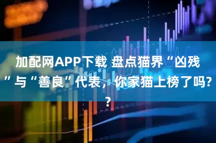 加配网APP下载 盘点猫界“凶残”与“善良”代表，你家猫上榜了吗?